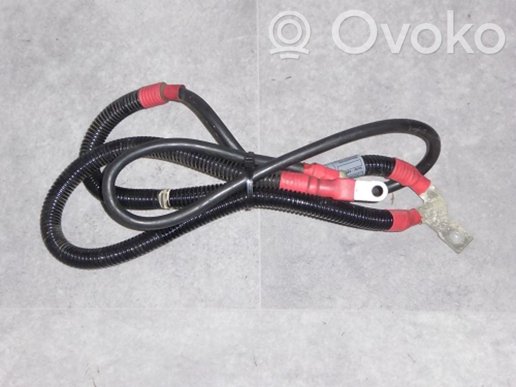 Cables (alternador)   12427567776,12427567776