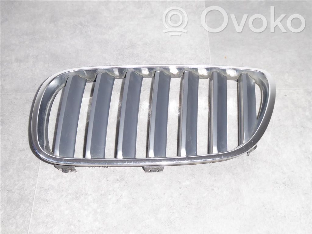 BMW X3 E83 Front grill 