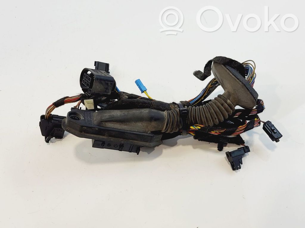BMW X5 E70 Cableado de puerta delantera 