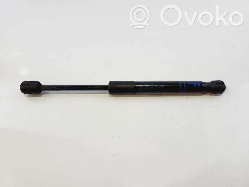 BMW 3 F30 F35 F31 Ammortizzatore portellone anteriore/cofano