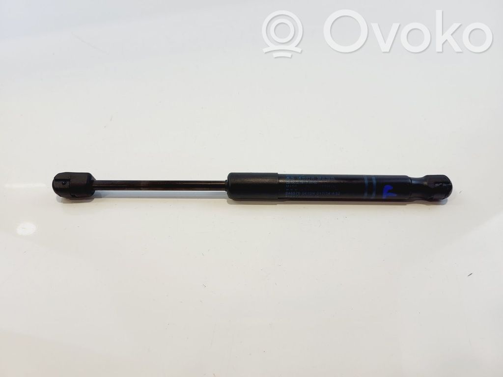 BMW 1 F20 F21 Ammortizzatore portellone anteriore/cofano 