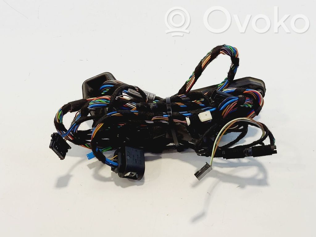 BMW X5 E70 Cableado de puerta trasera 