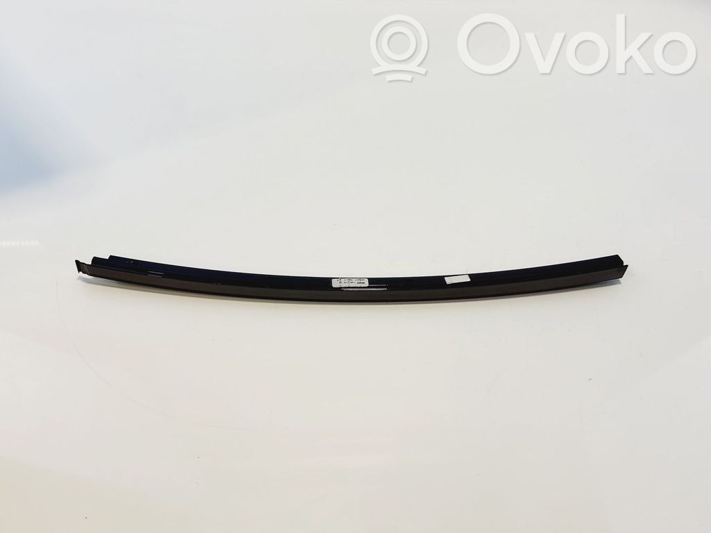 BMW 5 G30 G31 G38 Listwa / Uszczelka szyby drzwi tylnych 