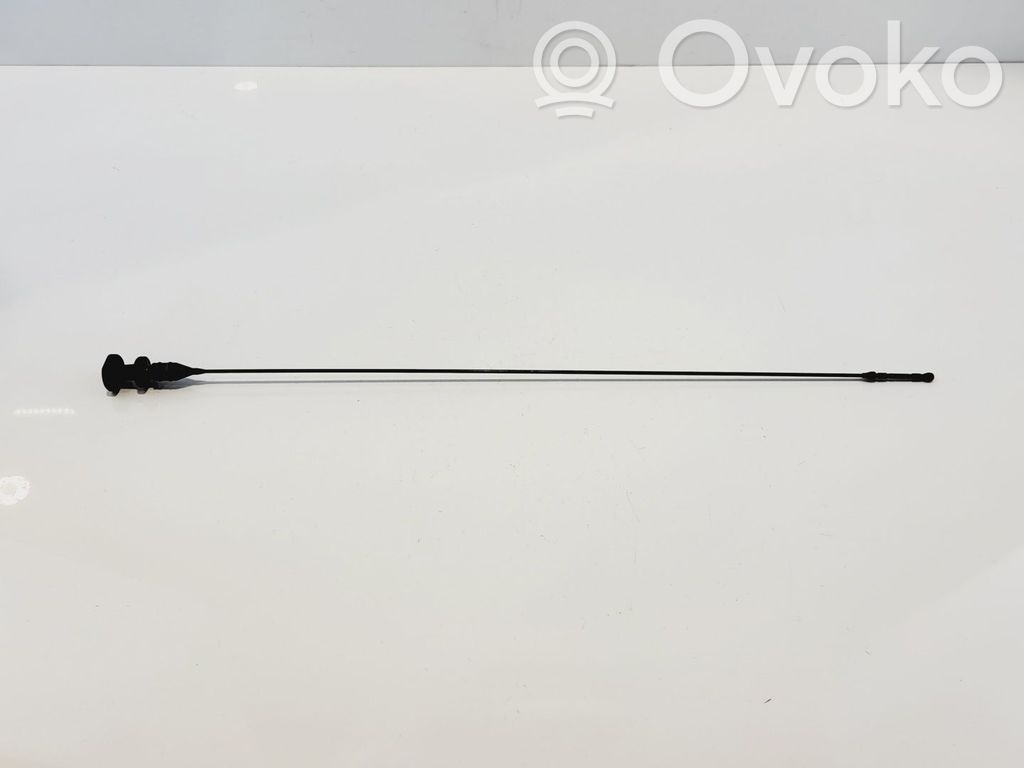Bagnet poziomu oleju   11437807995,11437807995