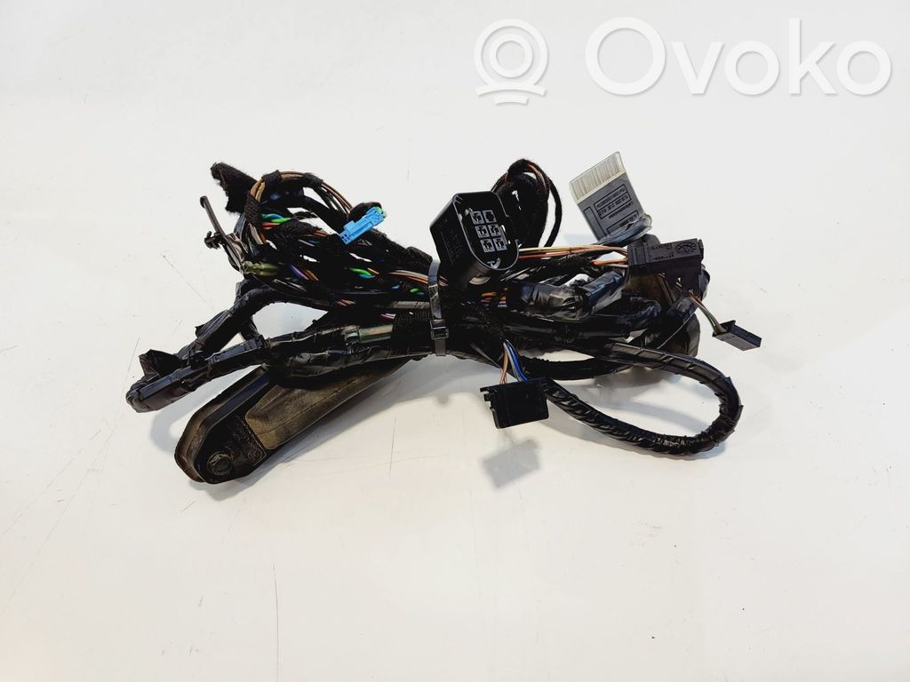 BMW X5 E70 Cableado de puerta trasera 