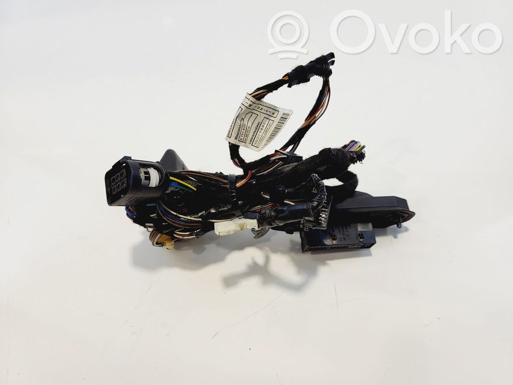 BMW X1 E84 Cableado de puerta trasera 