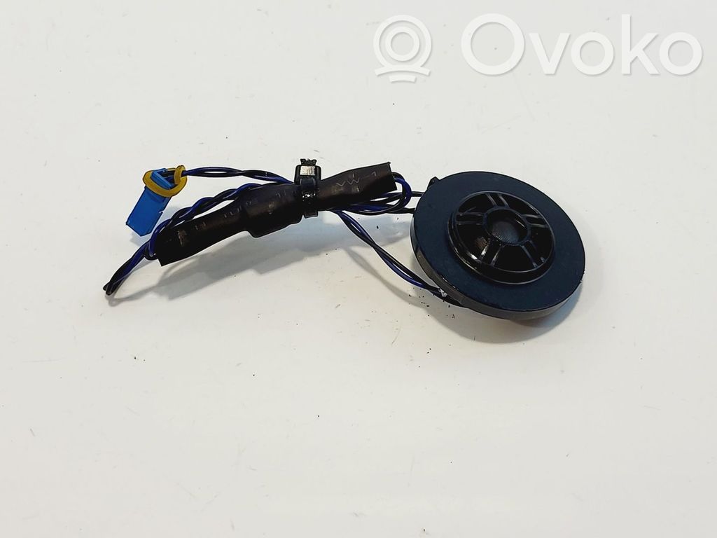BMW X3 G01 Altoparlante ad alta frequenza portiera anteriore 