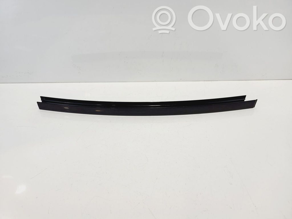 BMW 5 F10 F11 Listwa / Uszczelka szyby drzwi tylnych 