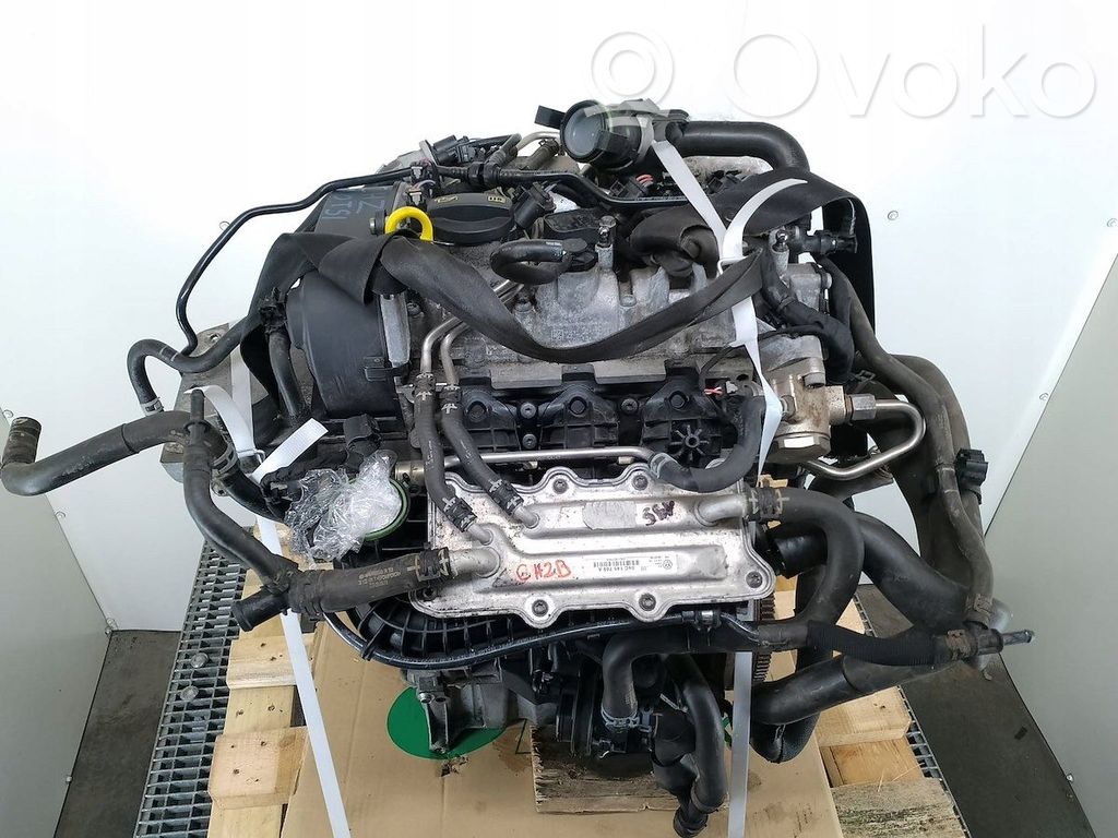 Skoda Rapid (NH) Motor 