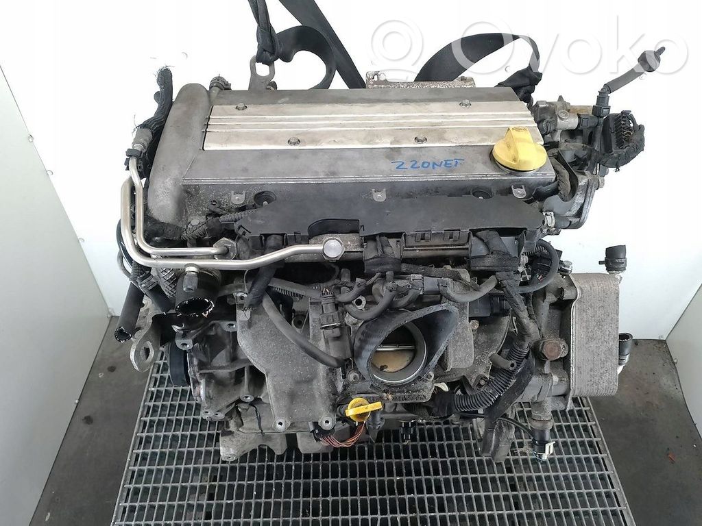 Opel Signum Silnik 