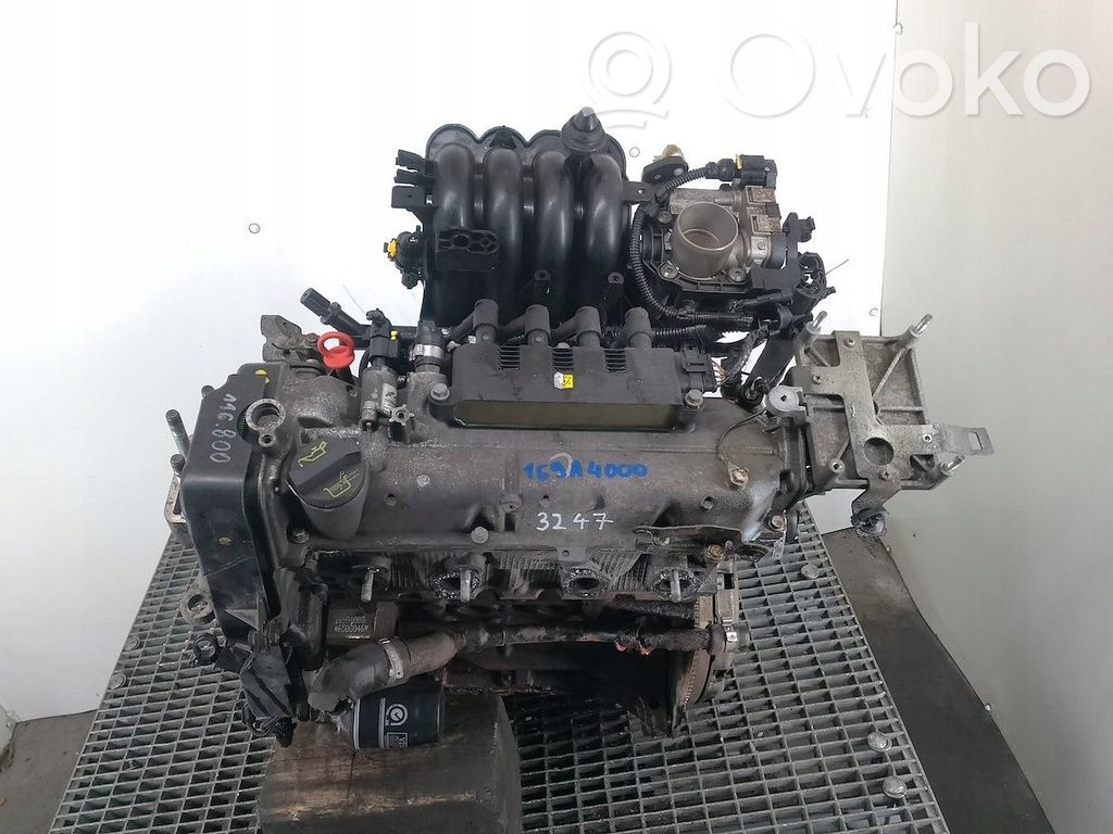 Dzinējs   169A4000