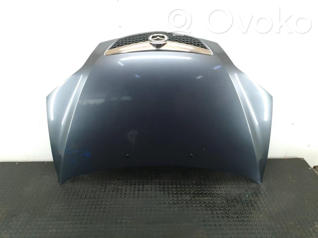 Engine bonnet/hood
