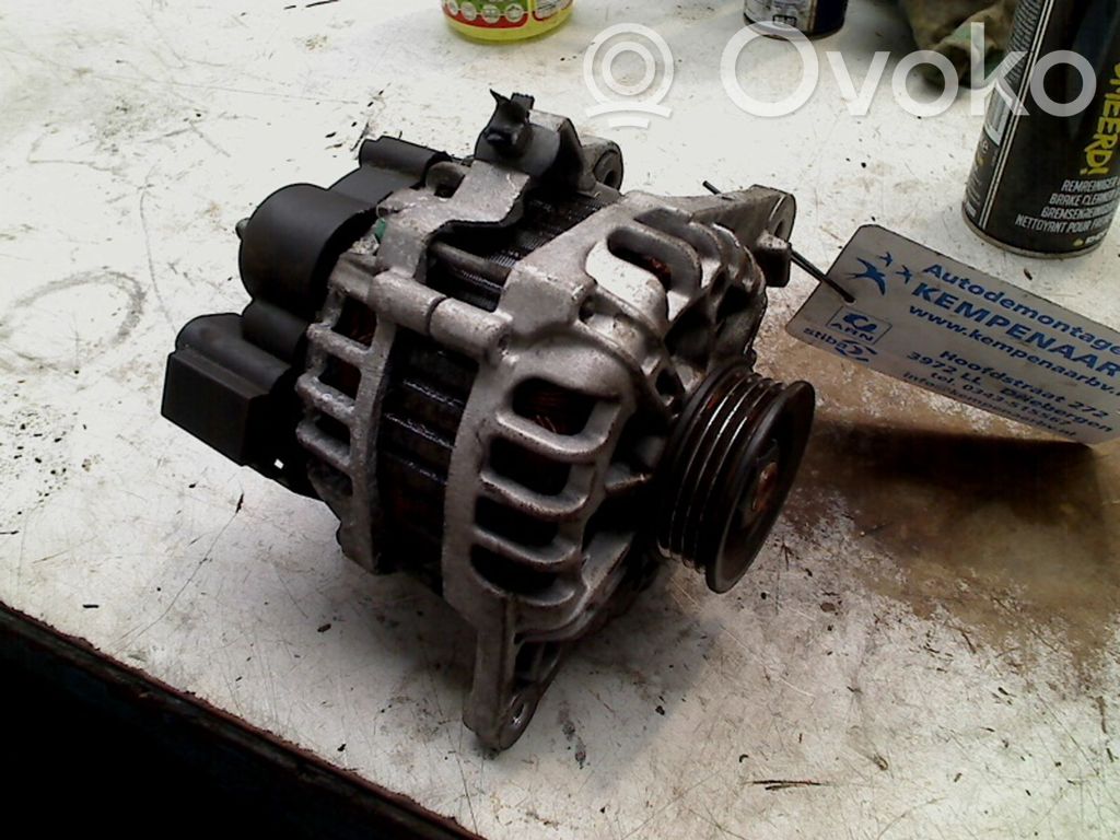 Alternator   N5110324,N5110324
