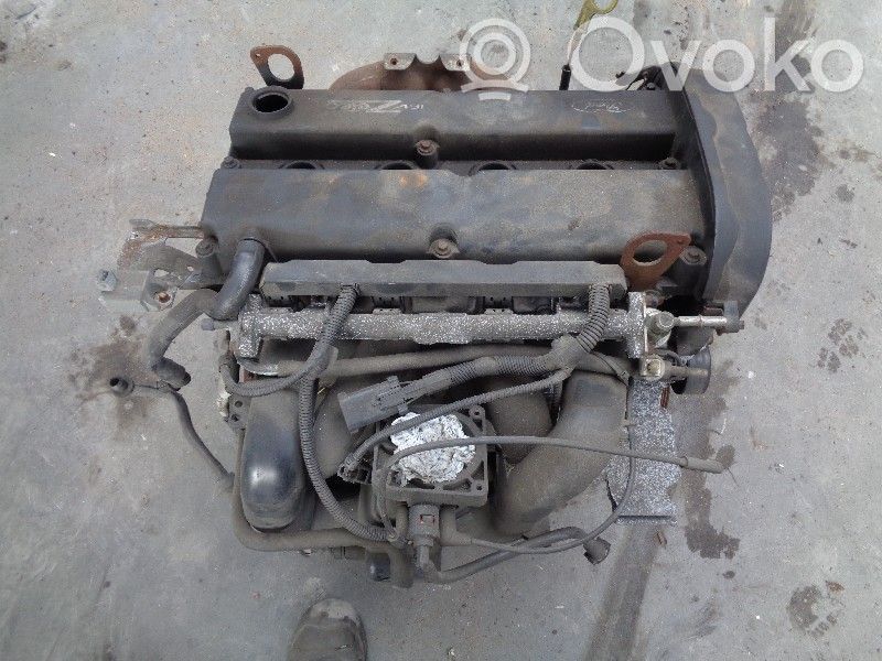 Motor