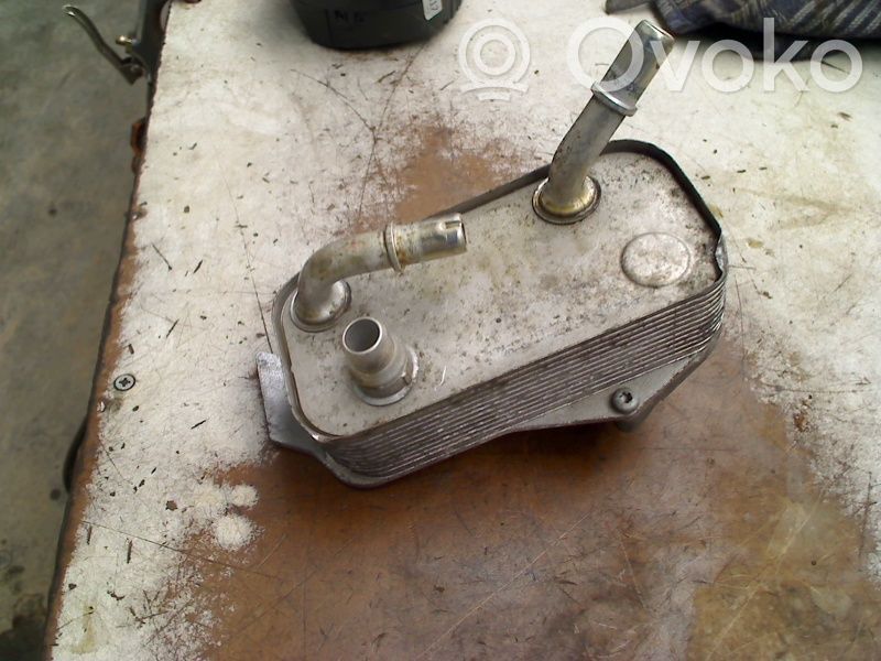 Variklio tepalo radiatorius   752106406,752106406