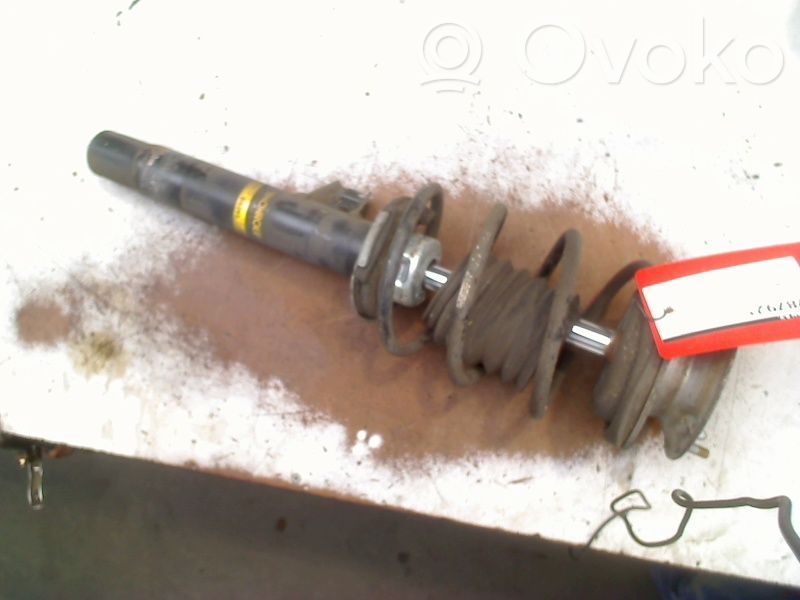 Front shock absorber with coil spring