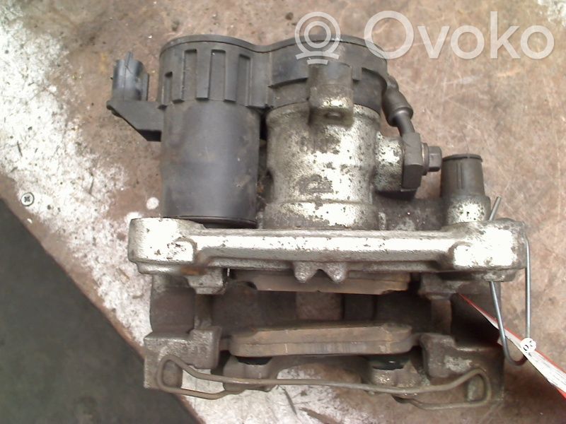 Takajarrusatula   LX612D250BEA,LX612D250BEA