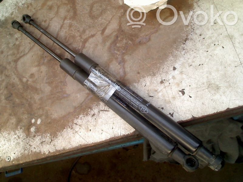 Tailgate/trunk strut/damper   904520004R,904520004R