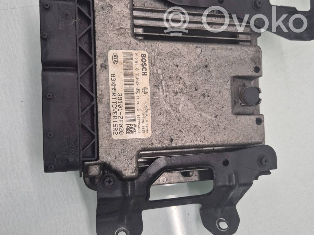 Engine control unit/module   391012F020