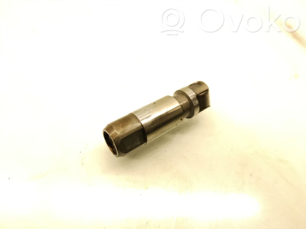 Dodge Charger Tappets lifter 