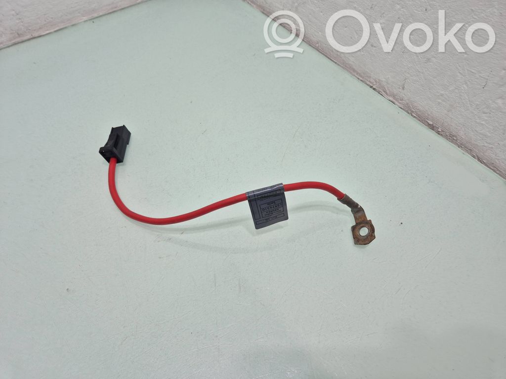 BMW X1 E84 Pliusinis laidas (akumuliatoriaus) 