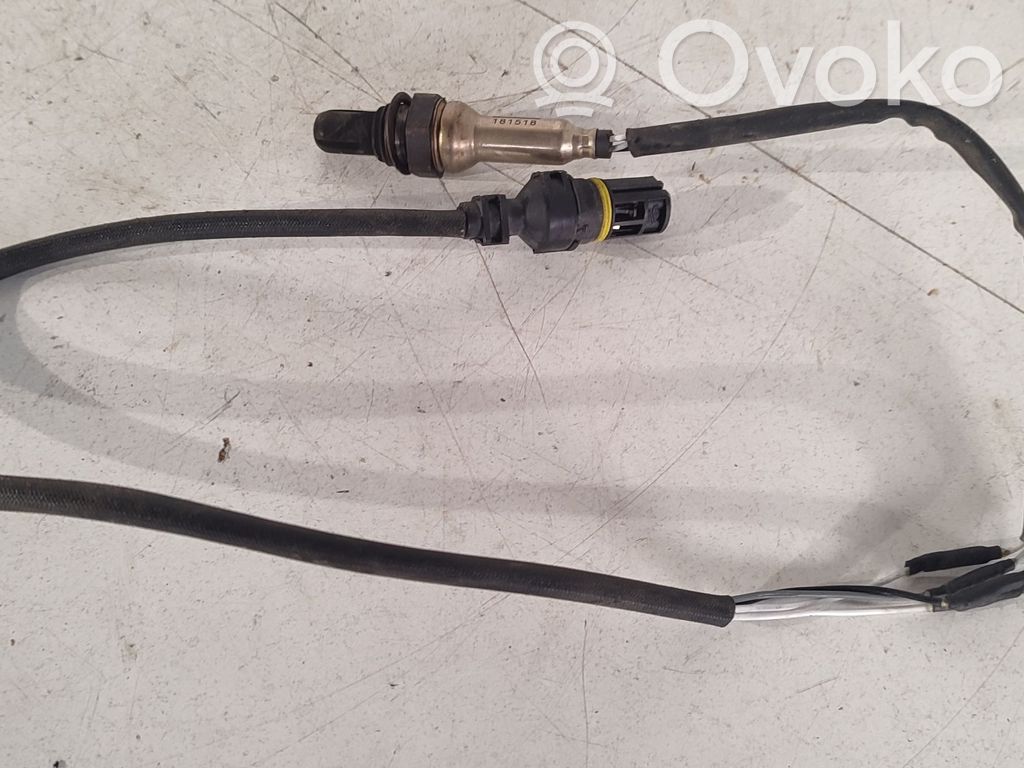Sonde lambda   181518
