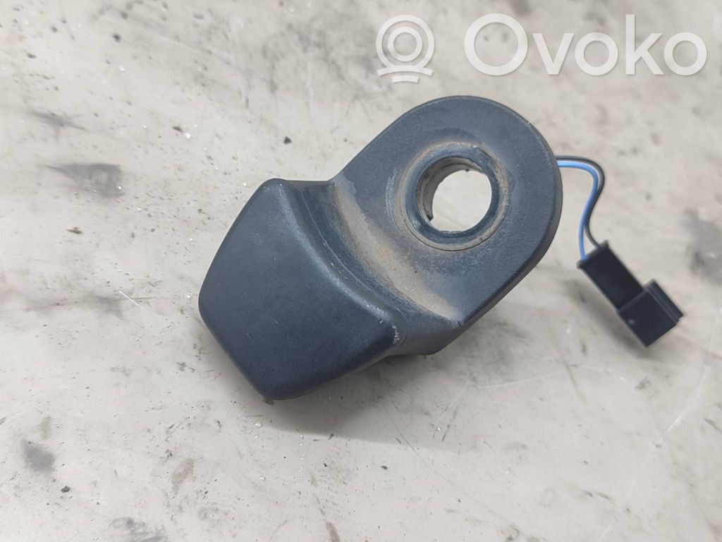 Tailgate glass/window release handle   9200673,59845510