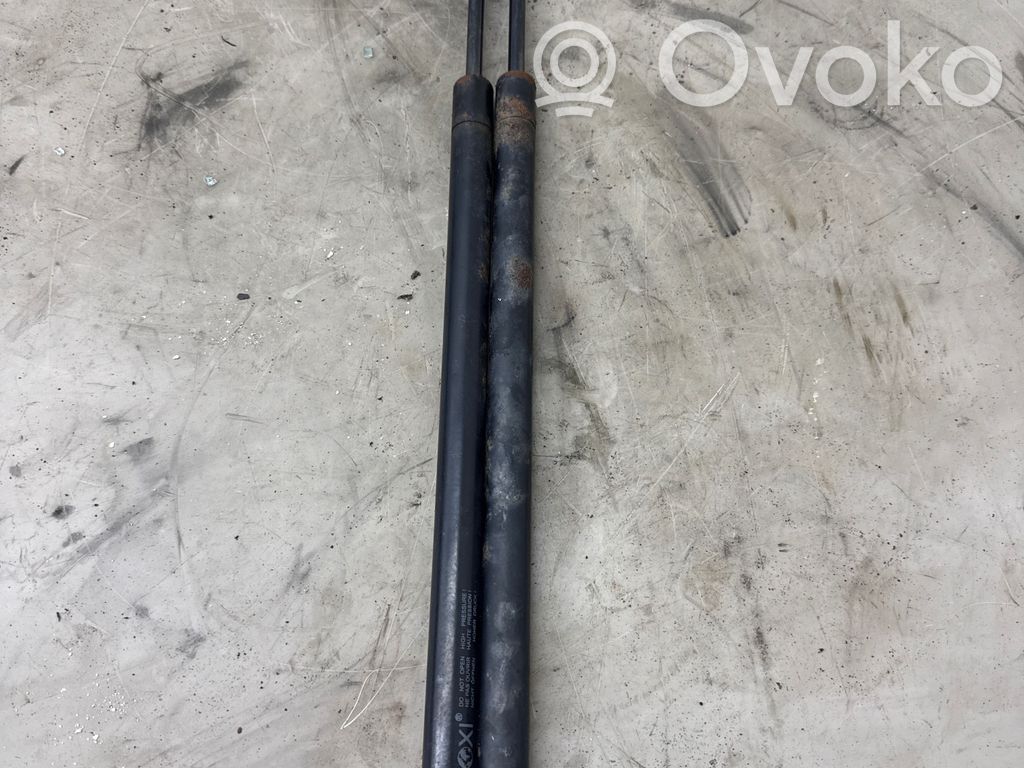 Tailgate/trunk strut/damper