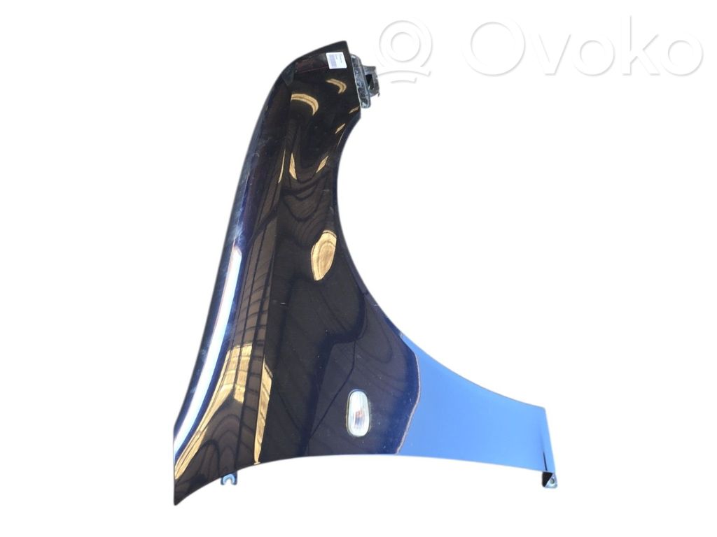Guardabarro   12797541