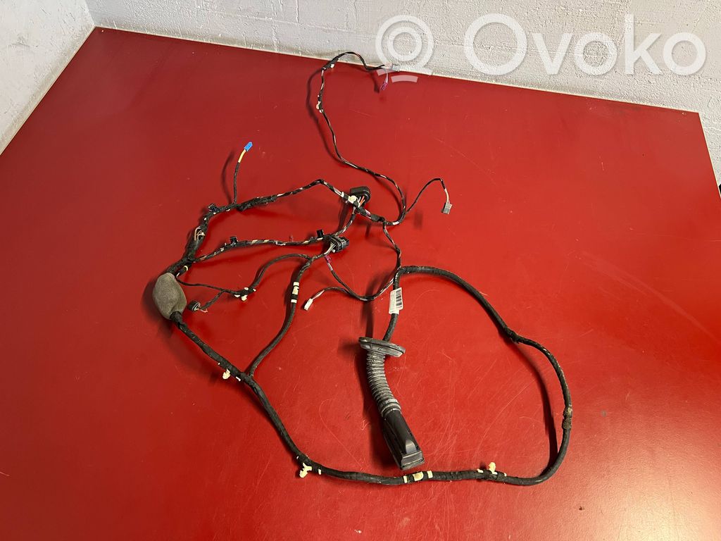 BMW X3 G01 Cableado de puerta trasera 