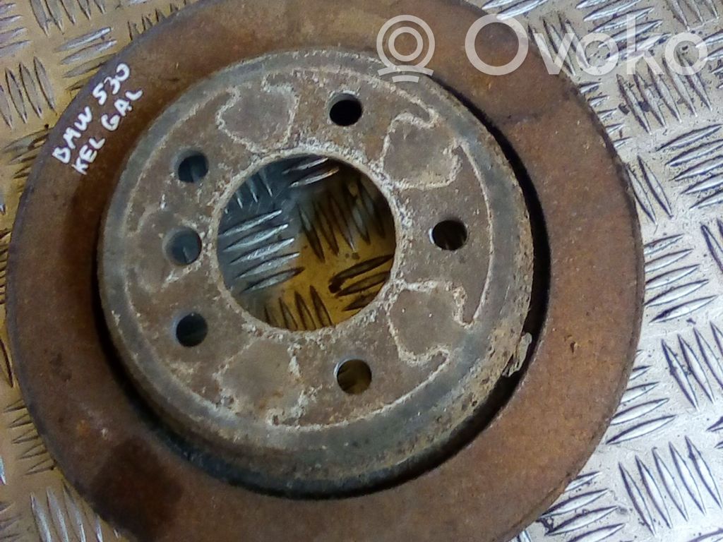 Bremsscheibe hinten