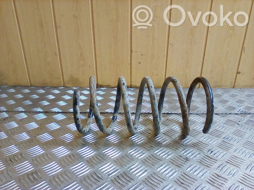 Rear coil spring