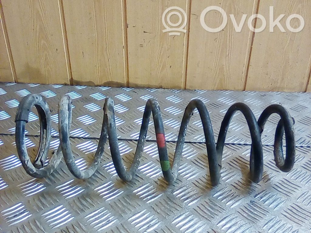 Rear coil spring