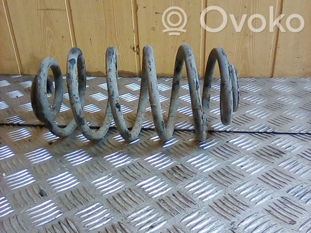 Rear coil spring