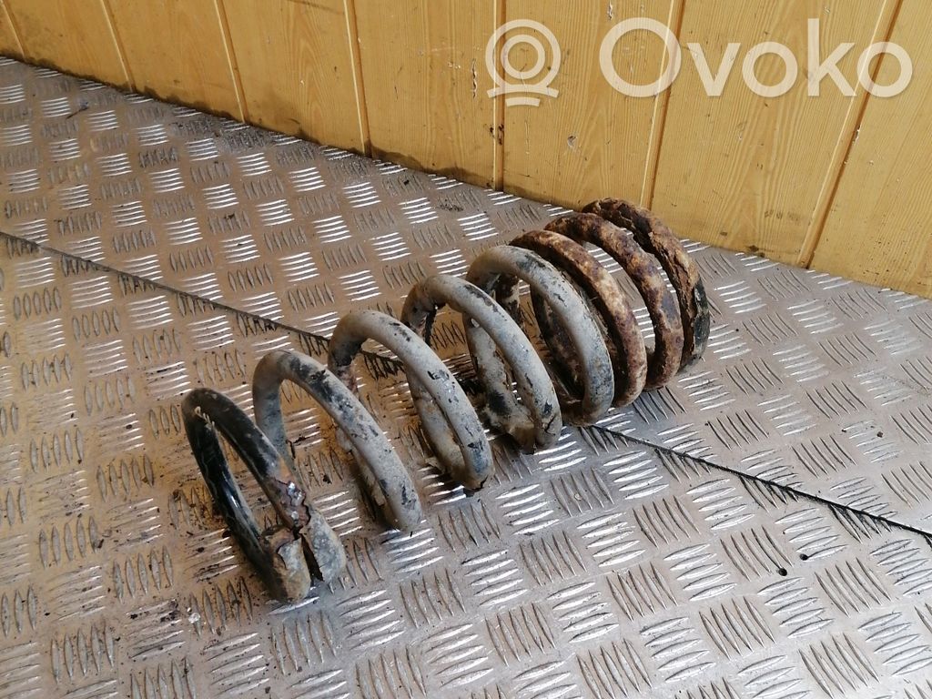 Rear coil spring