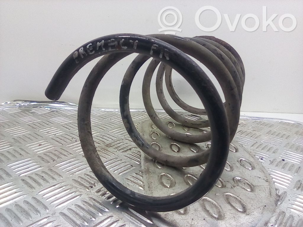 Front coil spring