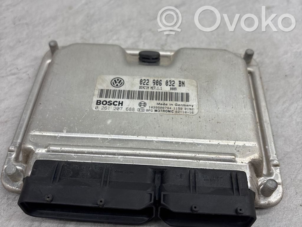 Volkswagen Phaeton Engine control unit/module 