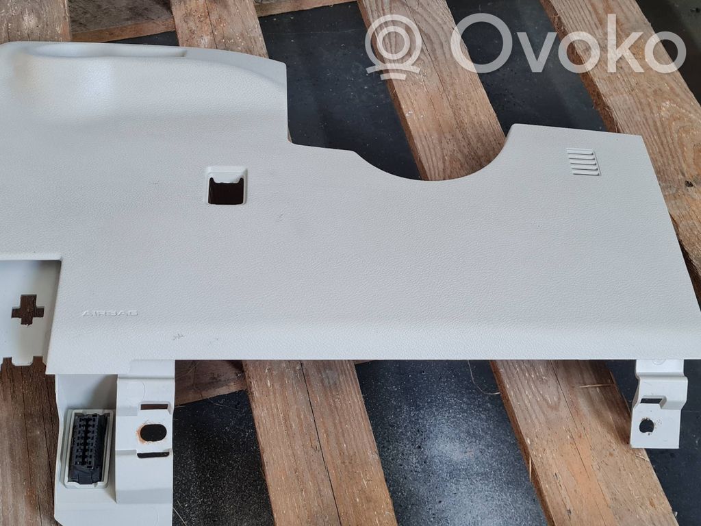 Chrysler Pacifica Panel trim 
