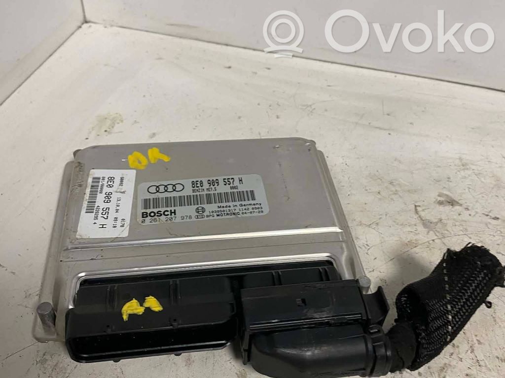 Audi A4 S4 B6 8E 8H Engine control unit/module 