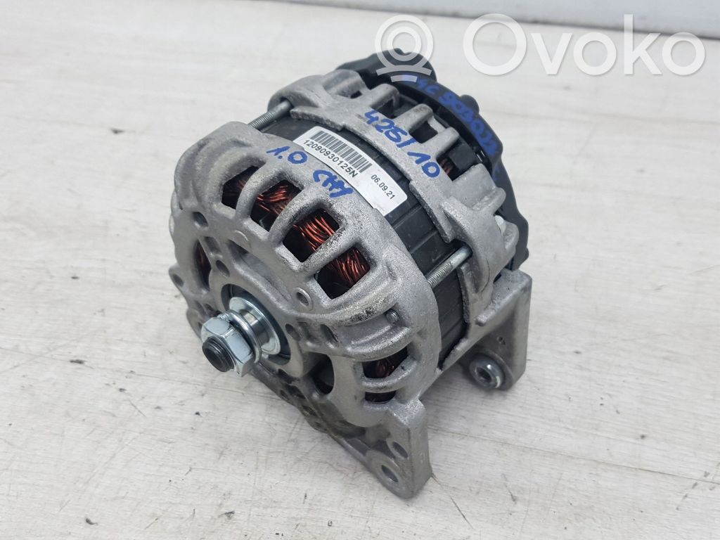Seat Ibiza IV (6J,6P) Alternador 