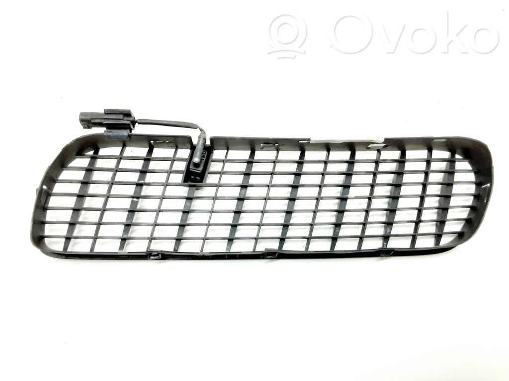 BMW X5 E53 Grille calandre de capot 