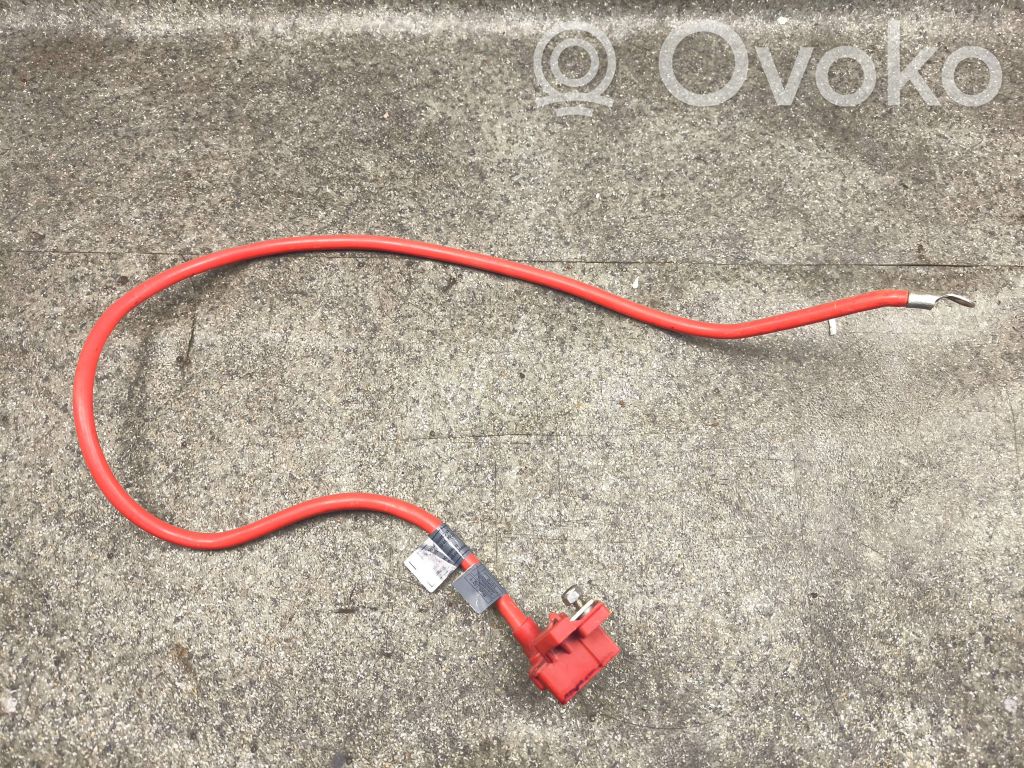 Pluskaapeli (akku)   6989775,10057310
