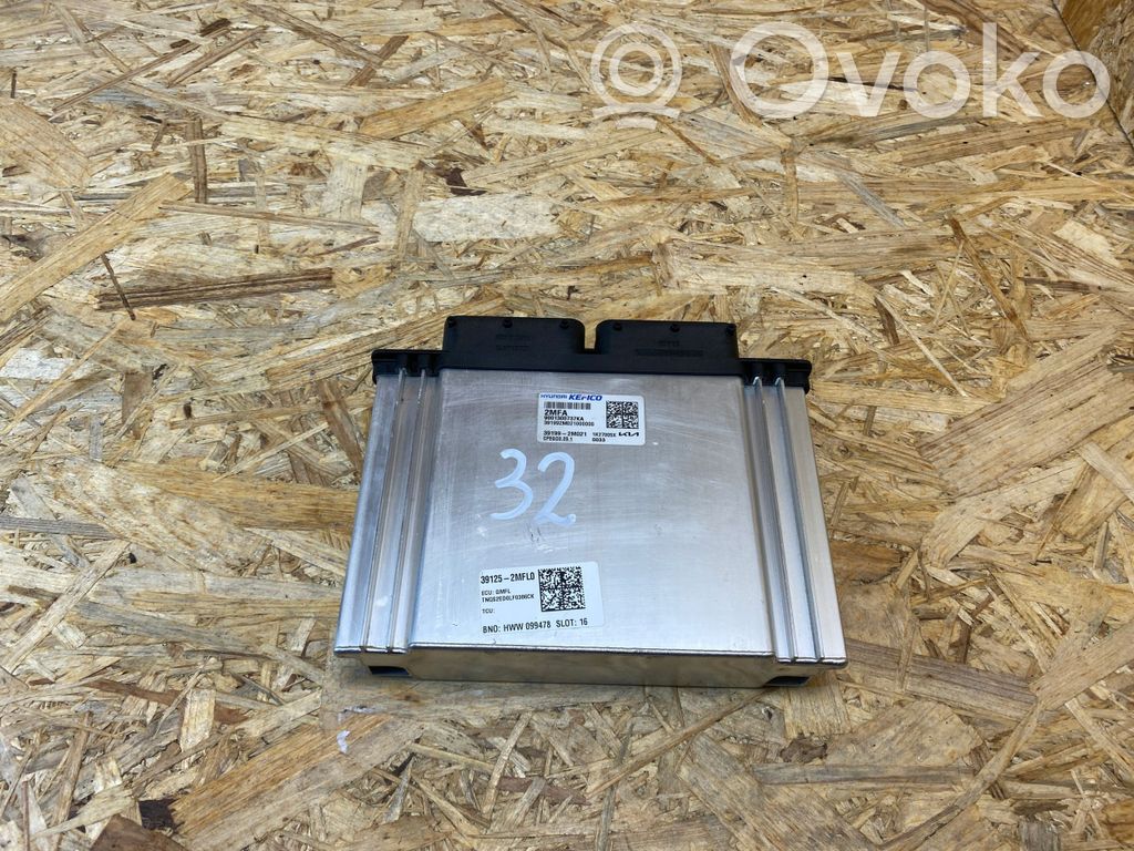 Engine control unit/module   391252MFL0,391992M021