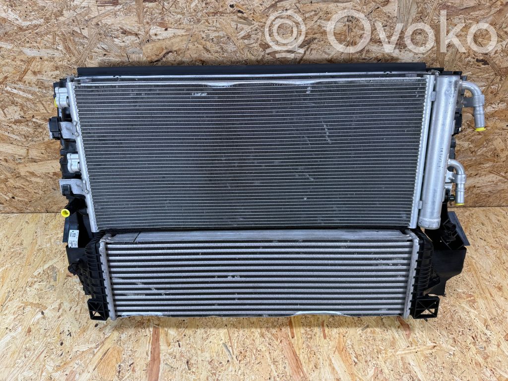 BMW 1 F40 Radiatorių komplektas 