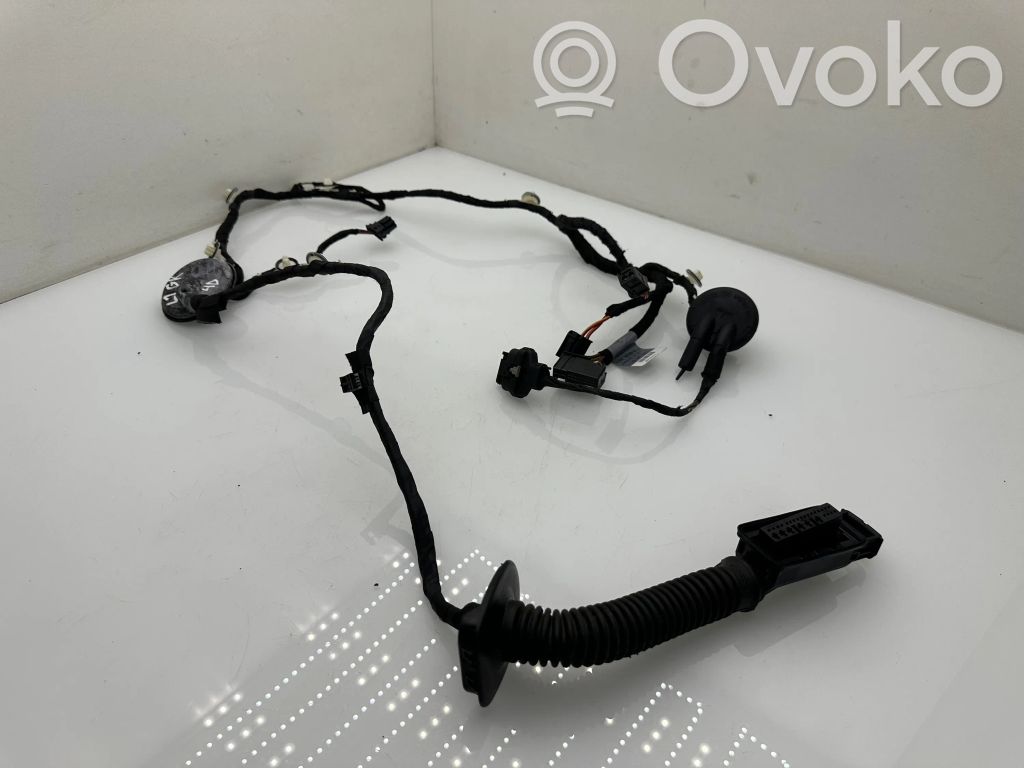 Audi Q5 SQ5 8R Cableado de puerta trasera 