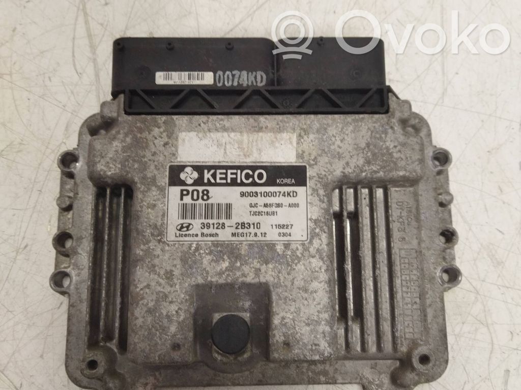Engine control unit/module ECU   391282B310,9003100074KD,TJC2C16UB1,GS566DS0A000