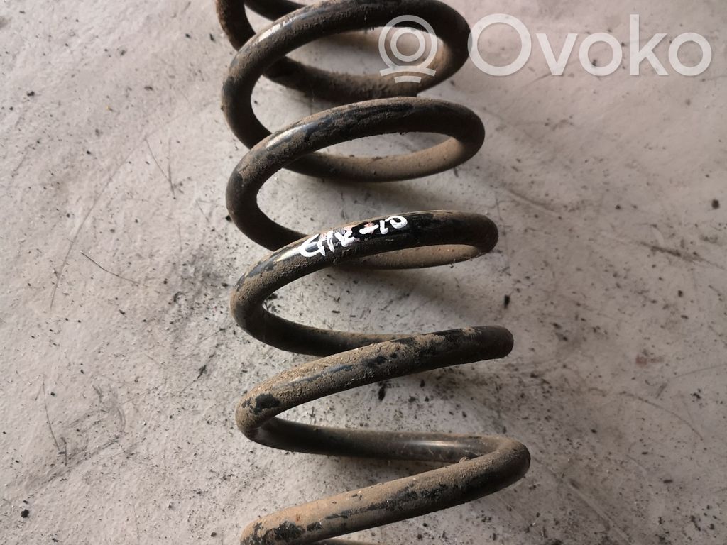 Muelle espiral trasero