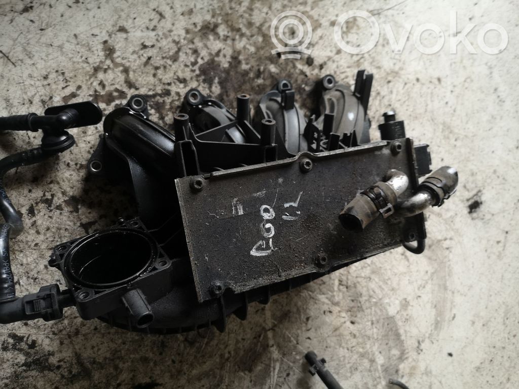 Seat Leon (1P) Kolektorius įsiurbimo 
