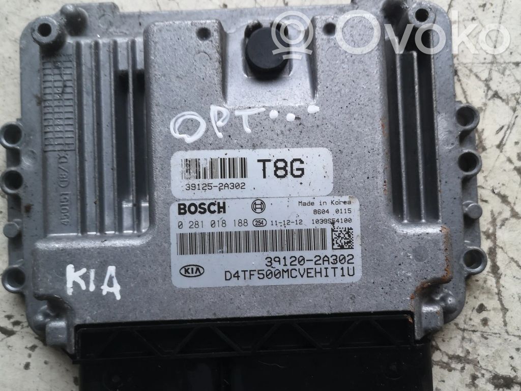 KIA Optima Engine control unit/module 