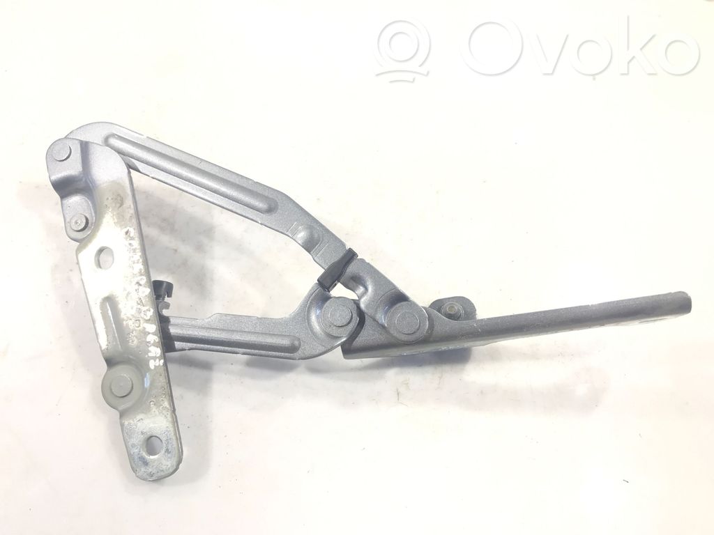 Chevrolet Camaro Tailgate/trunk/boot hinge 